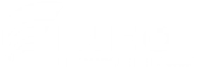 Ineo
